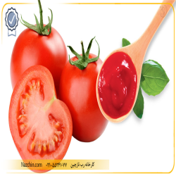 رب گوجه فرنگی چاشنی خوشرنگ و خوش طعم غذا در سفره شما