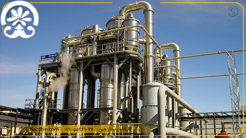 تشريح خط توليد رب گوجه فرنگي در كارخانه نازچين